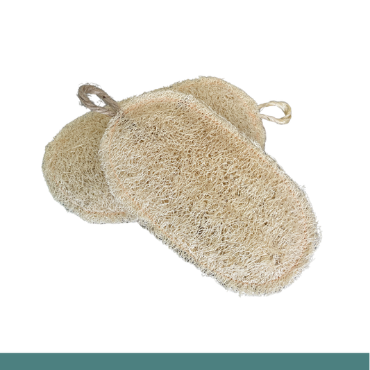 Esponja Exfoliante de Lufa