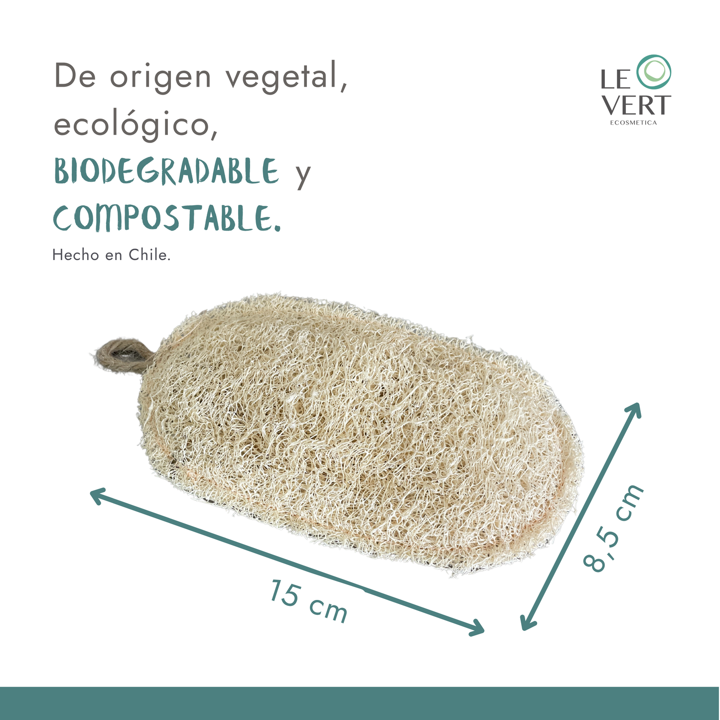 Esponja Exfoliante de Lufa